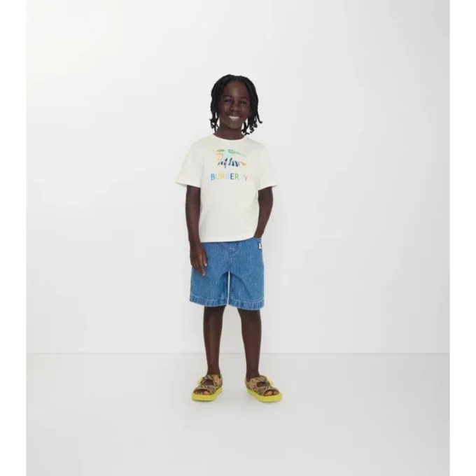 Wielobarwny bawełniany T-shirt EKD